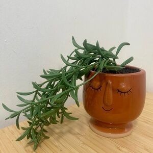 Whimsical Terracotta Face Planter with Artificial Greenery🍃🌿